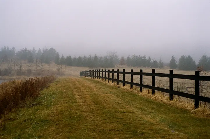 The farm road along the fence line
