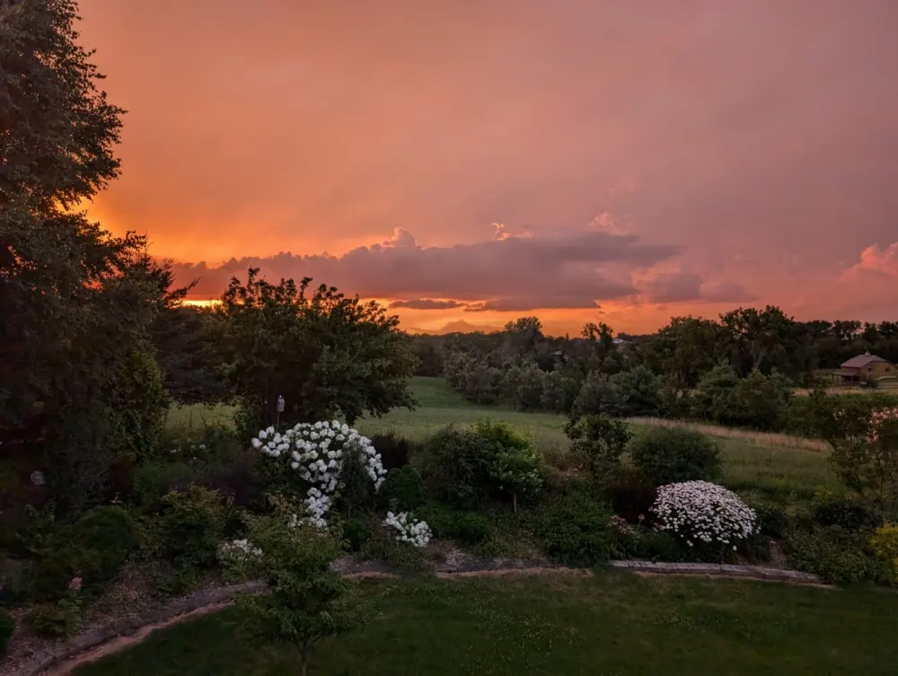 Sunset over the garden