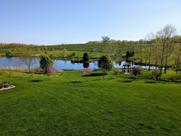 Pond in spring