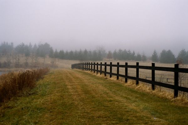 Misty fence line