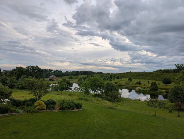 View over the ponds