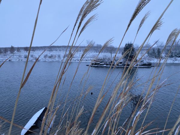 First snow on the pond