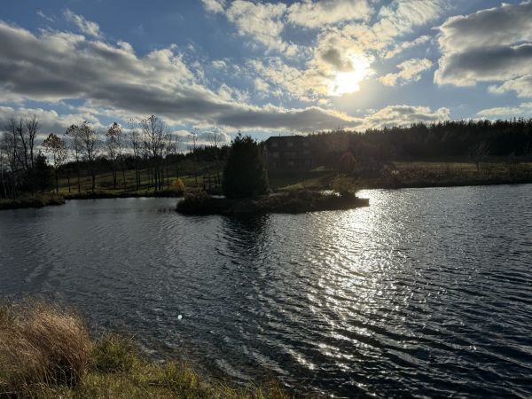 Afternoon sun on the pond