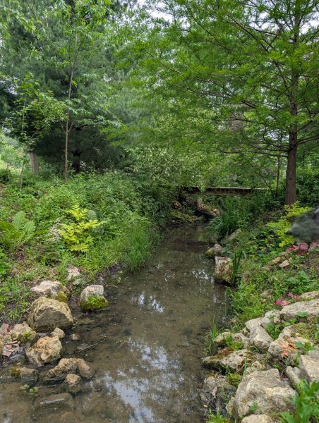 Spring fed stream