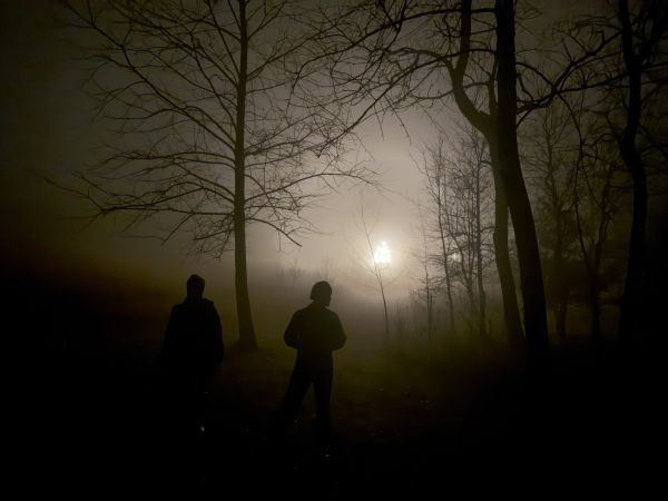 Walking in the fog